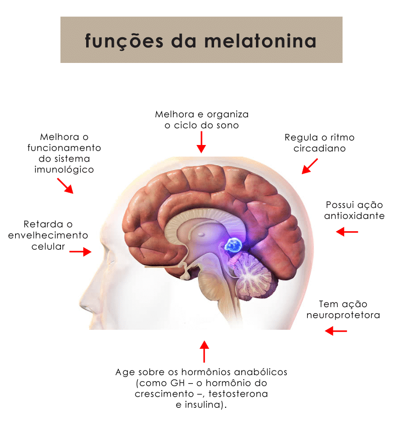 Hormônio do sono; melatonina; insônia; melatonina em Florianópolis